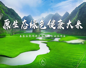 聚祥源水稻专业种植合作社