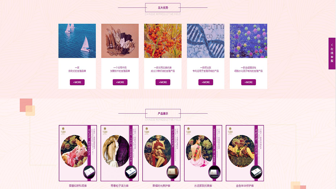 美妆护肤/医疗健康网站案例