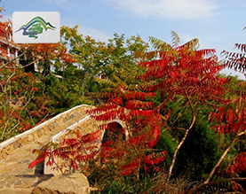 乳山市蓝野旅游开发有限公司