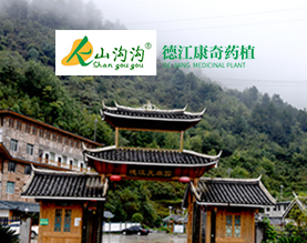 德江县康奇药植开发有限责任公司