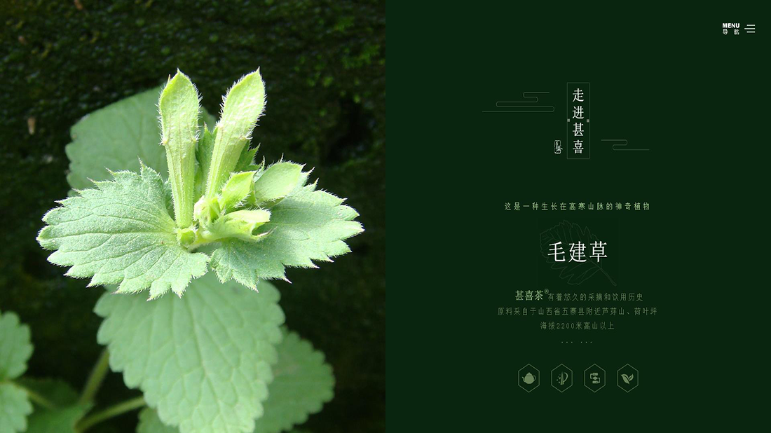 食品制造网站案例