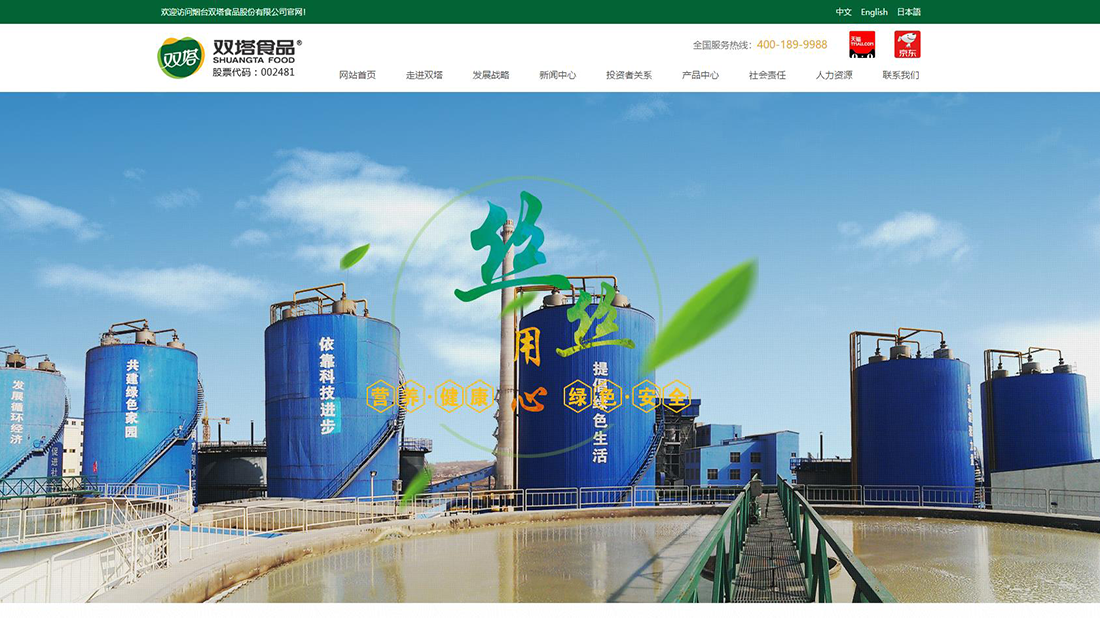 外贸进出口网站案例