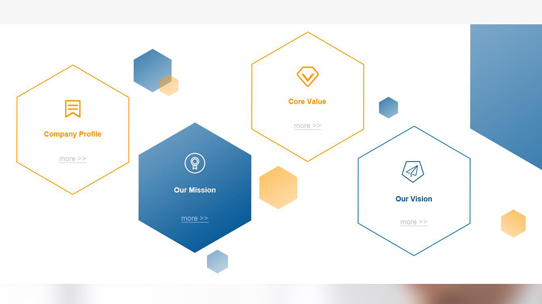 医疗健康/外贸进出口网站案例