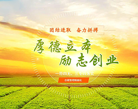 山东省巨野粮食储备库 