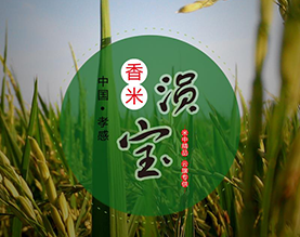 安陆市泉源粮油有限公司