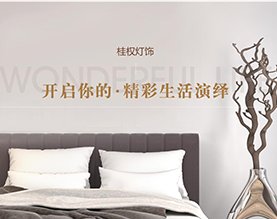 兴化市桂权灯饰有限公司 