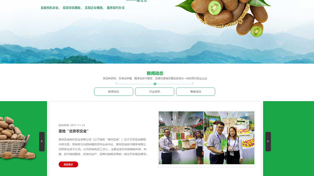 农副产品网站案例