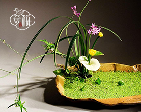 北京会一花卉有限公司