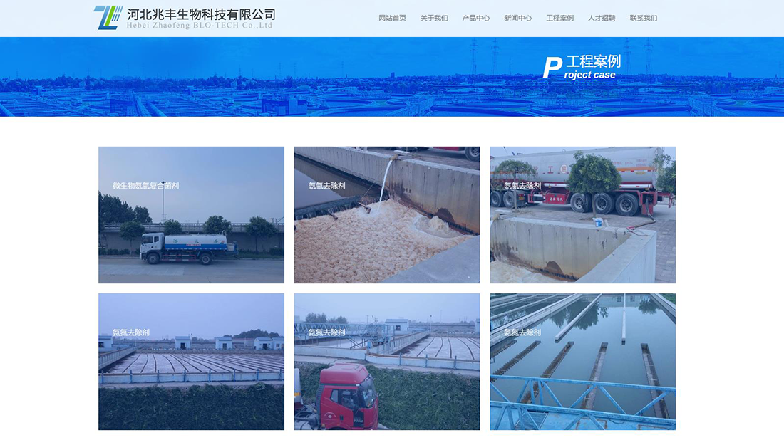 化学化工网站案例