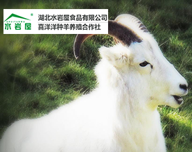 湖北水岩屋食品有限公司