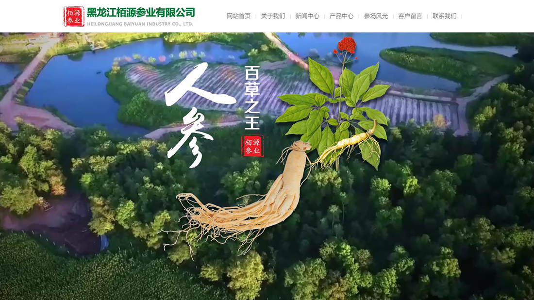 农副产品/医疗健康网站案例