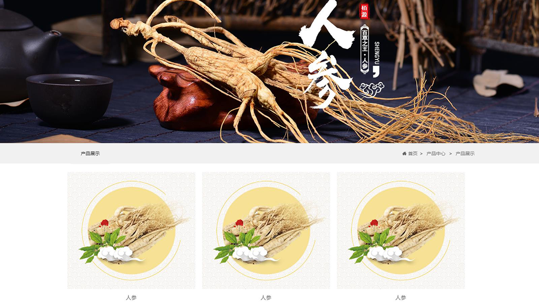 农副产品/医疗健康网站案例