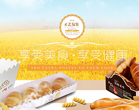 潮州市潮安区正艺包装有限公司