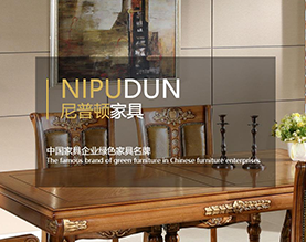 尼普顿家具有限公司