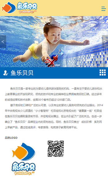 商业服务网站案例