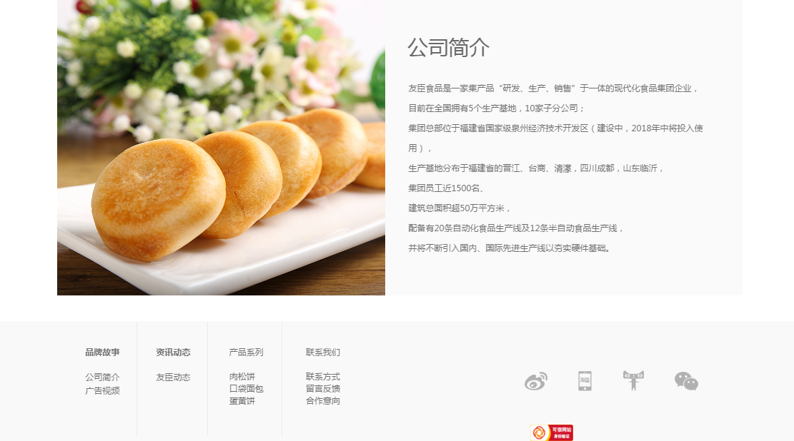 食品制造网站案例