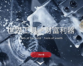 株洲硬质合金集团有限公司