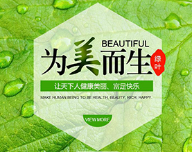 苏州绿叶日用品有限公司