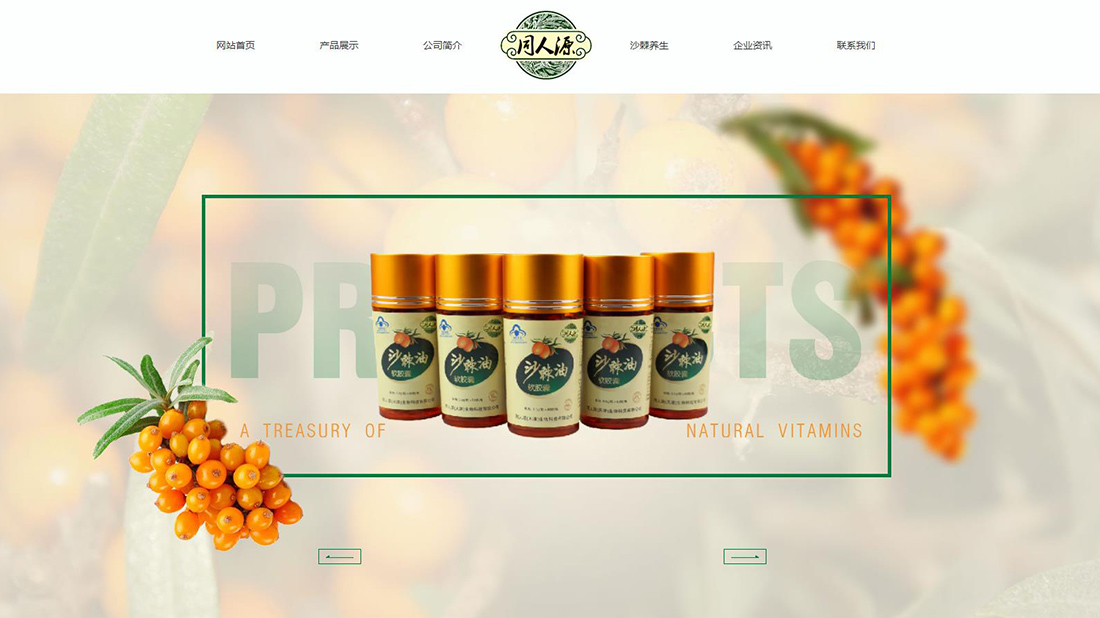 医疗健康网站案例