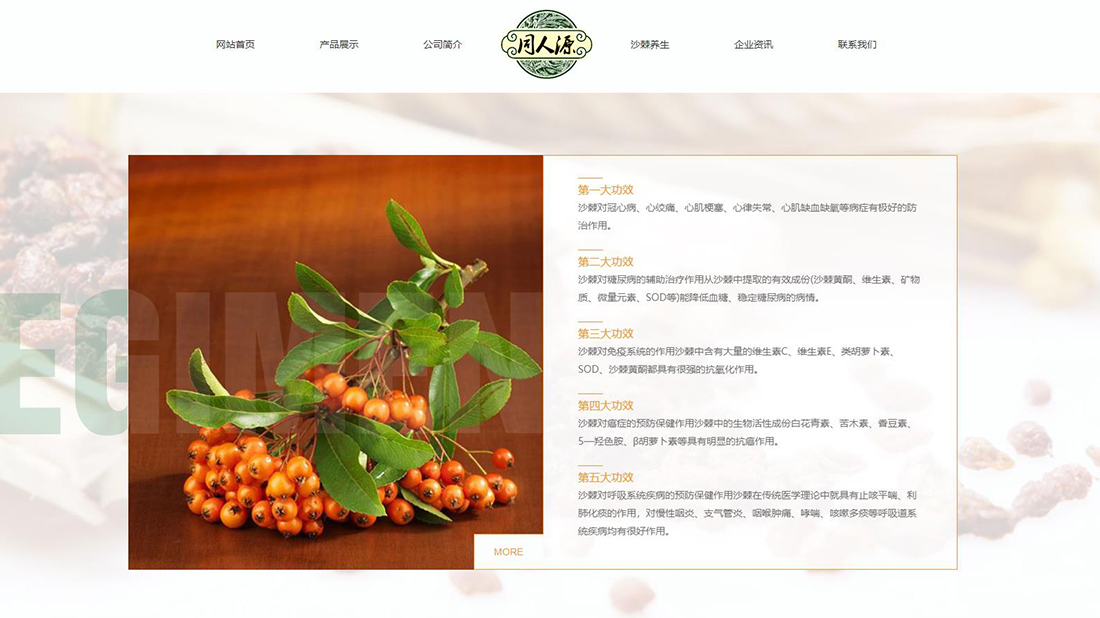 医疗健康网站案例