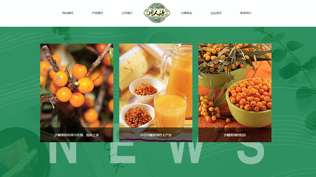 医疗健康网站案例