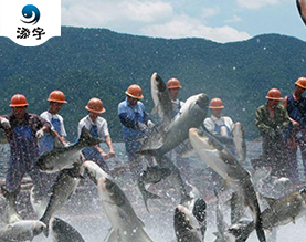 天津市天宇水产养殖有限公司