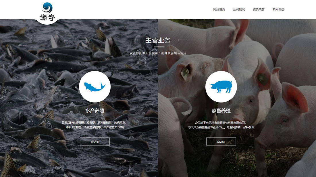 农副产品网站案例