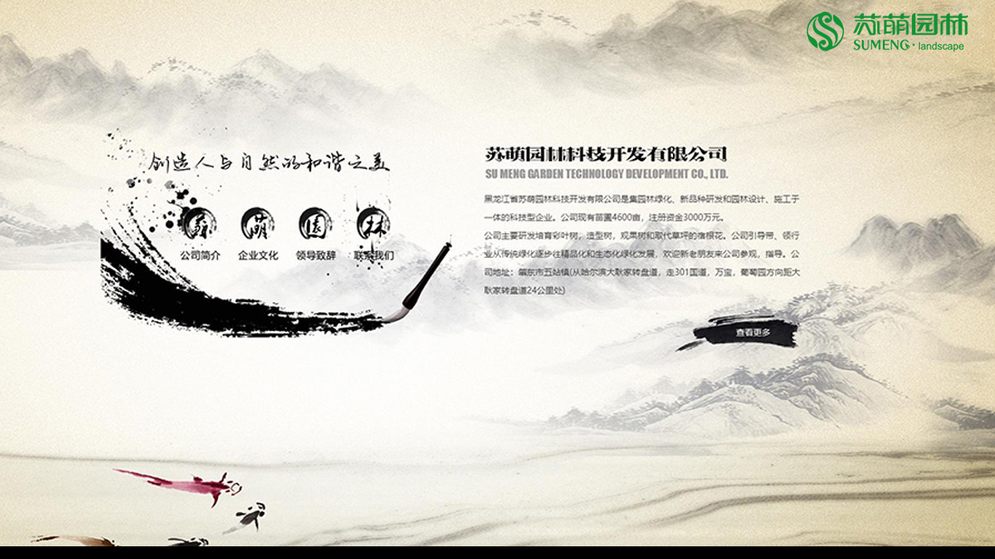 其它网站案例