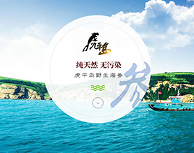 大连虎平岛海珍品有限公司