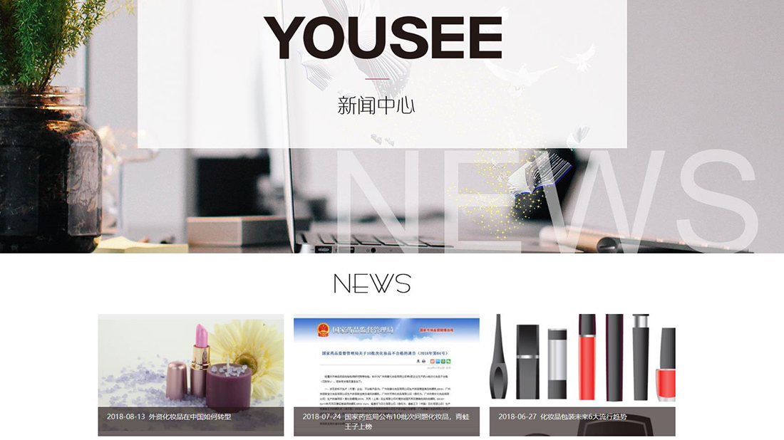 美妆护肤网站案例