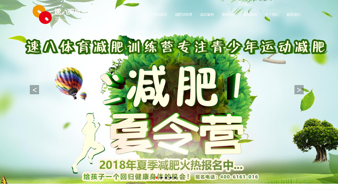 电子电工/商业服务网站案例