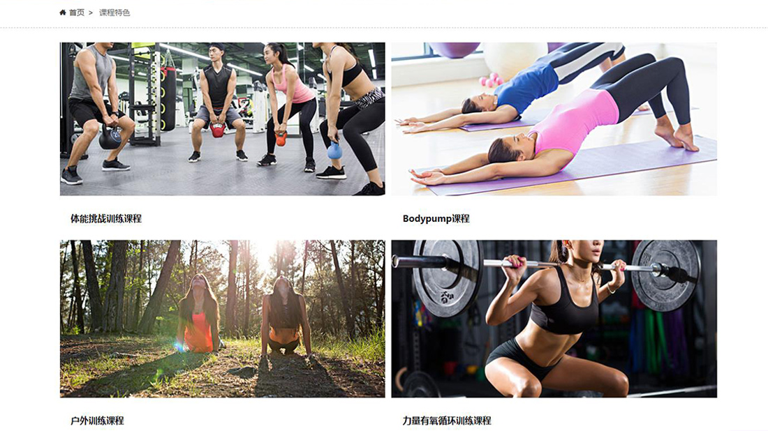 电子电工/商业服务网站案例