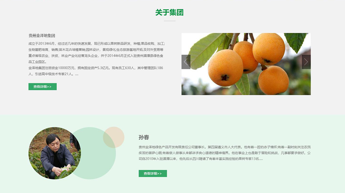 农副产品网站案例