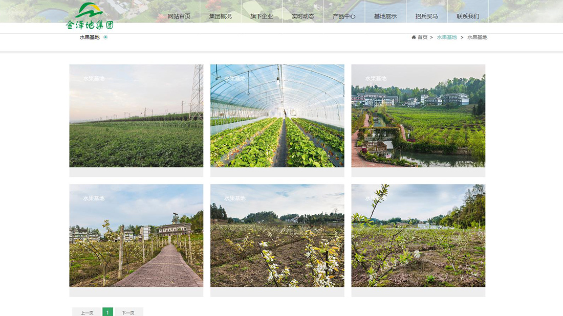 农副产品网站案例