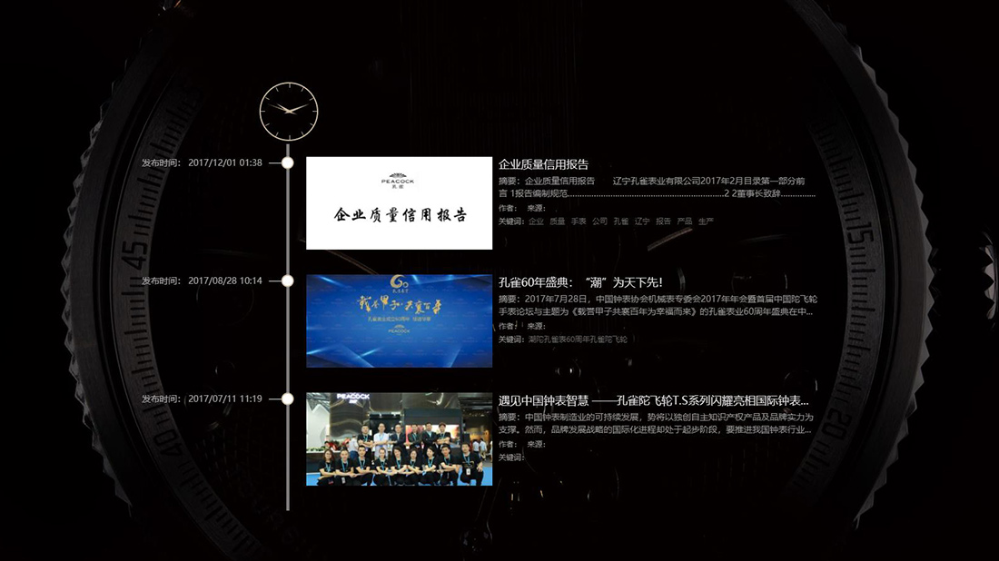 珠宝首饰网站案例