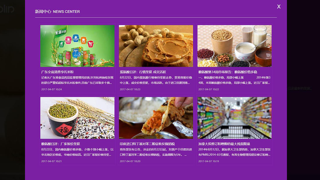 化学化工/食品制造网站案例