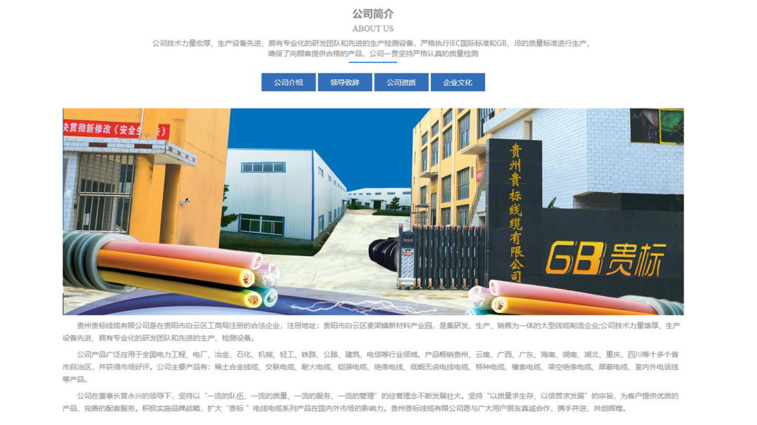 电子电工网站案例