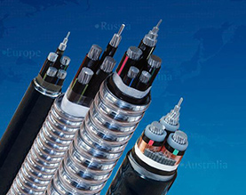 河南金水电缆集团有限公司 