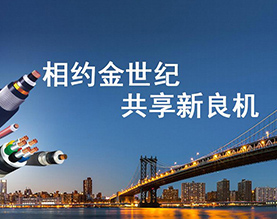金世纪电缆集团有限公司 