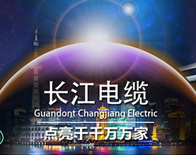 广东长江电缆有限公司