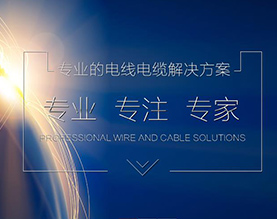 天津市海燕电线电缆制造有限公司