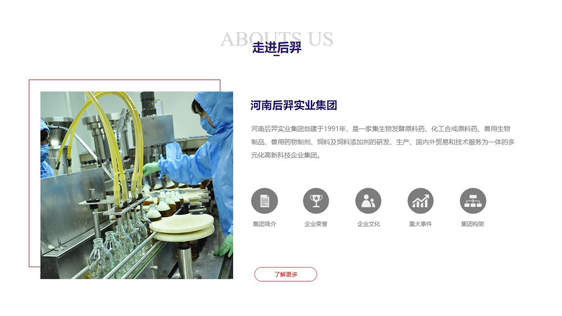 其它网站案例