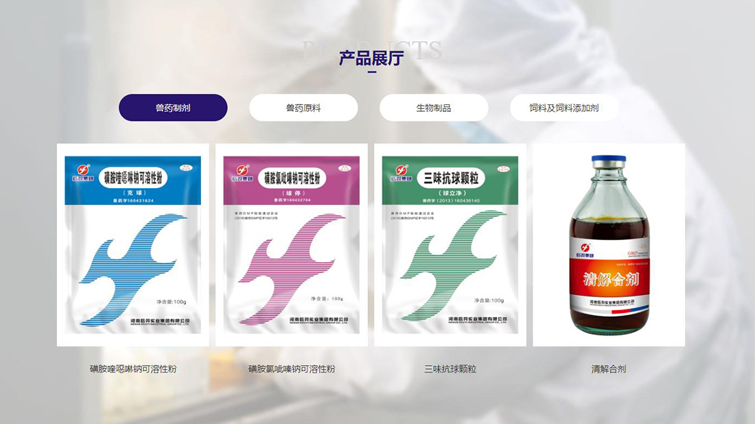 其它网站案例