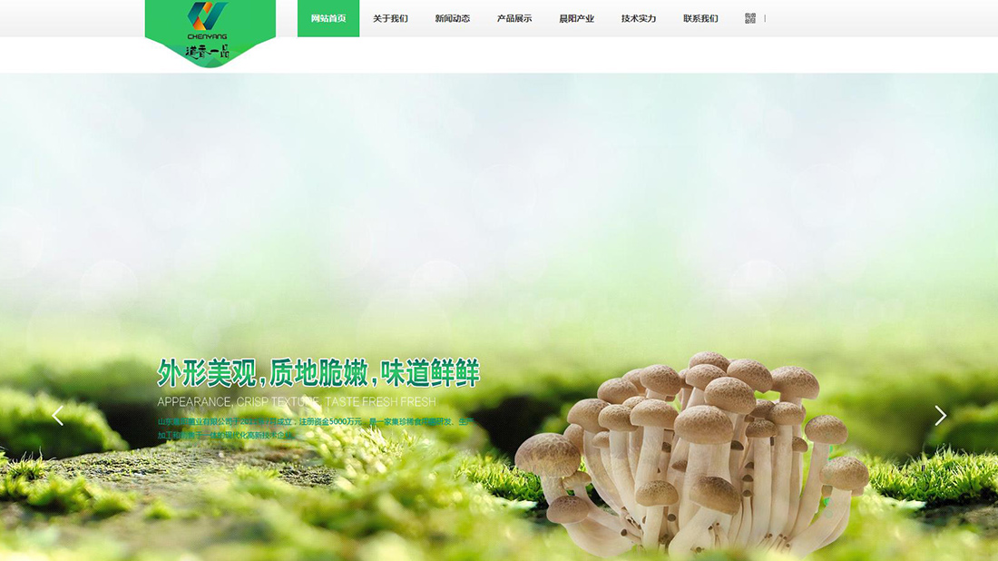 食品制造网站案例