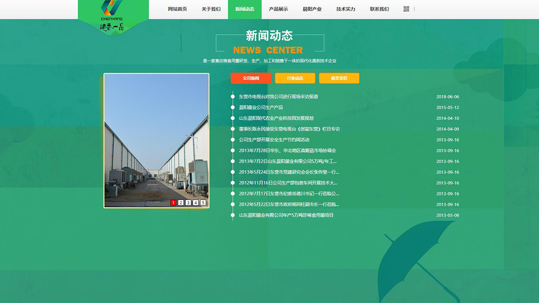 食品制造网站案例