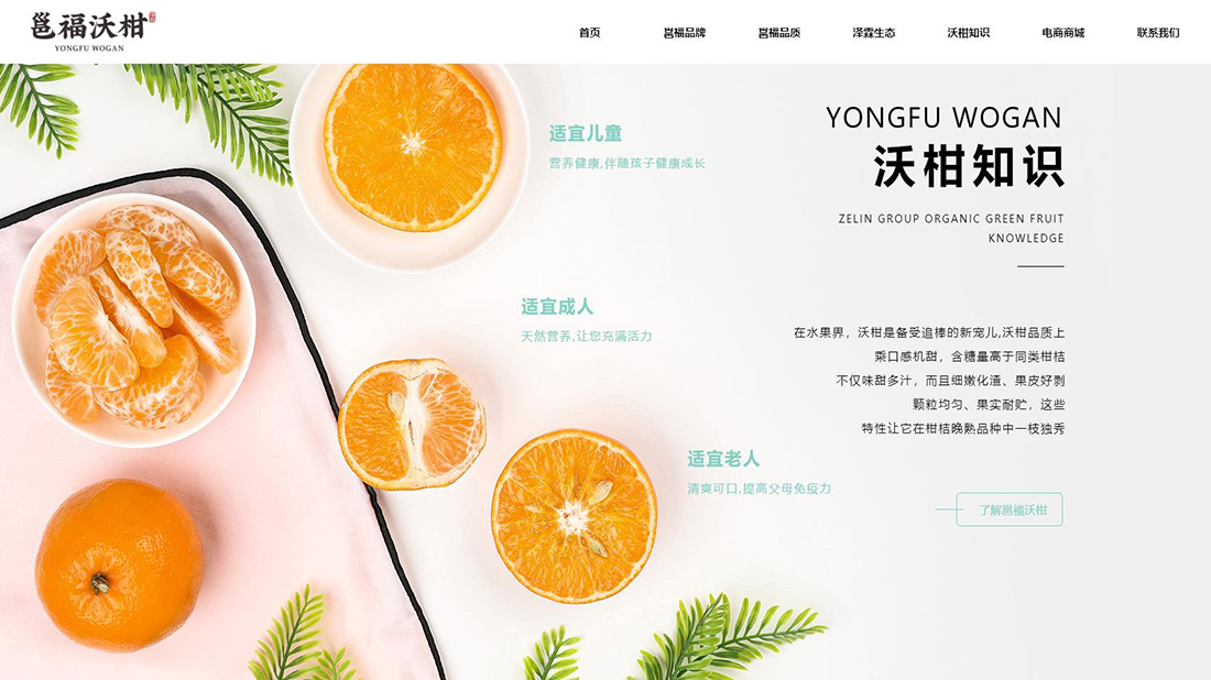 农副产品网站案例