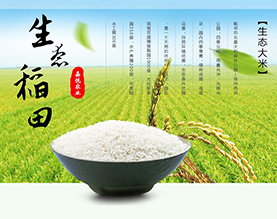 江苏嘉悦农业科技有限公司
