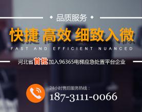 河北德森电梯工程有限公司