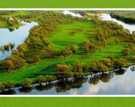 黑龙江龙凯米业有限公司