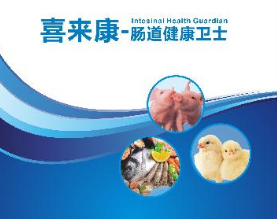 武汉润泛生物科技有限公司